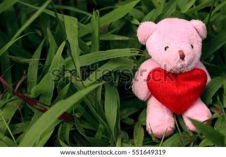 Bear holding a red heart on a background of green grass.