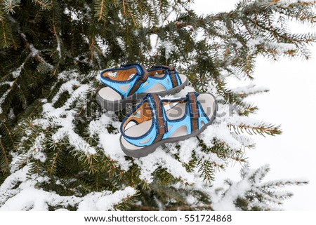 Pair of kids sandals on the fir tree branches covered with first snow. Funny winter and christmas concept. New year background. 