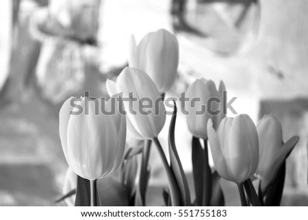 Nature bouquet from purple tulips for use as background. Selective focus. Black and white.