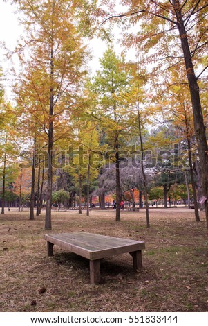 Lonely and single wooden table in park during autumn with colourful tree and leaves.