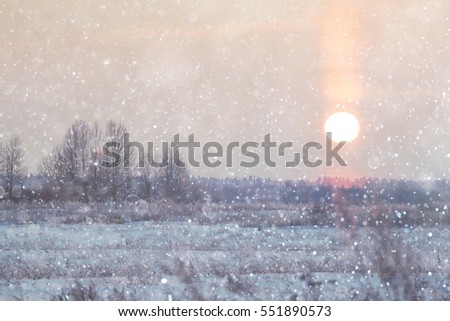 snowy winter landscape in the Christmas forest