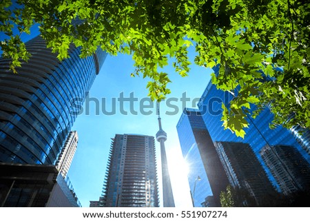 Buildings in Toronto city, Canada
