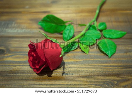 Valentines Day - Red rose on wood  