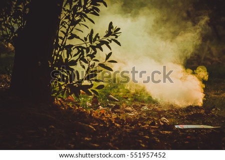 Burning dry leaf fallen in the garden,smoke fire Vintage Tone.