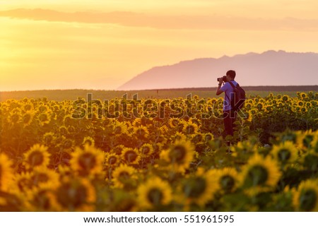Travel Photography,Travel Photographer Ready to Take Landscape Pictures on the sunflower field in Thailand Royalty-Free Stock Photo #551961595