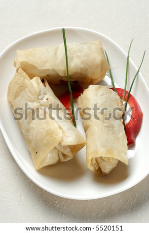 Picture of a spring roll on a white dish