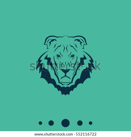 Lion head icon. Logo template illustration. Animal image.