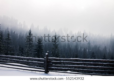 Fence in foggy winter forest in the Carpathians