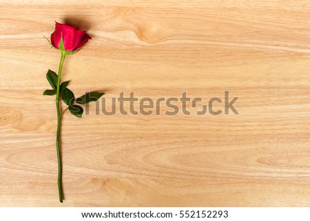 Valentine day rose red on a wood background. holidays card with copy space valentine