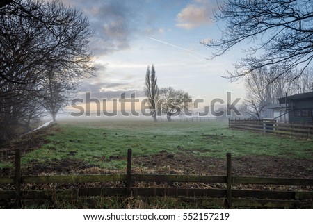 Typical Dutch nature. Fog in the winter