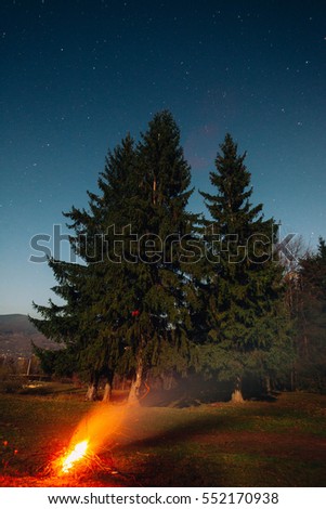 Picture of a camp fire near trees at night 