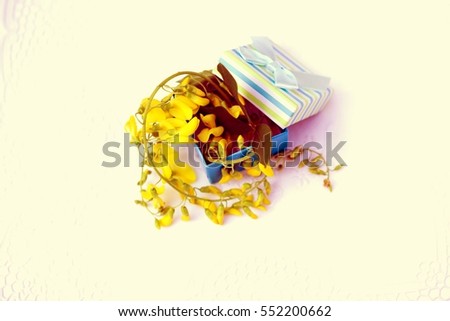 Aerial view laburnum alpinum also called golden chain. Beautiful yellow blossoms of golden shower tree in gift box, for wedding concept business, bridal decoration magazines. Image with filter effect