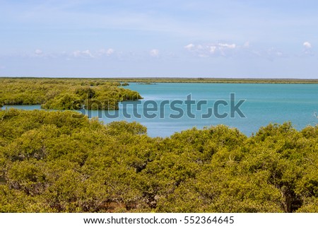 Roebuck Bay in Broome ,North Western Australia with  tidal mudflats abundant in marine life with  big tides, mangroves, red cliffs and aquamarine waters, is a wondrous landscape as the tide ebbs out.
