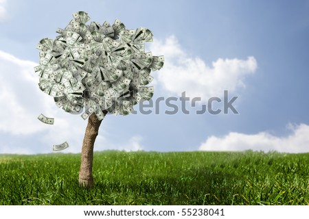 photo of money tree made of dollars