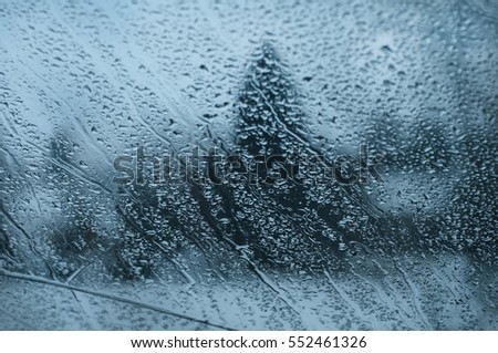 Drops of rain on glass on background of spruce forest