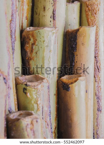 Glutinous rice roasted in bamboo joints have already finished. This is a part of cooking process of glutinous rice roasted in bamboo joints. Picture from Thailand country.