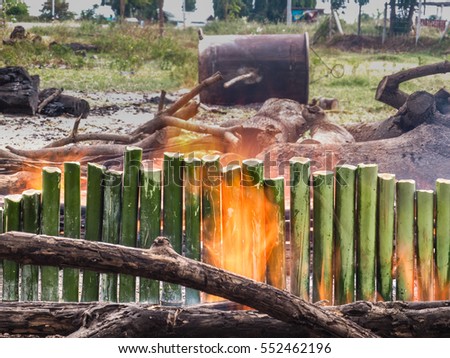 Grill the bamboo tube with medium fire until ingredient inside are cooked.This is a part of cooking process of glutinous rice roasted in bamboo joints.Picture from Olympus OMD-EM5 Mark2 12-50mm lens.