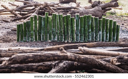 The Bamboos are straight line arrangement before grilled. This is a part of cooking process of glutinous rice roasted in bamboo joints. Picture from Thailand country.
