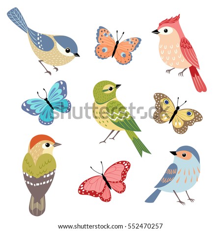 Set of colorful birds and butterflies isolated on white background.