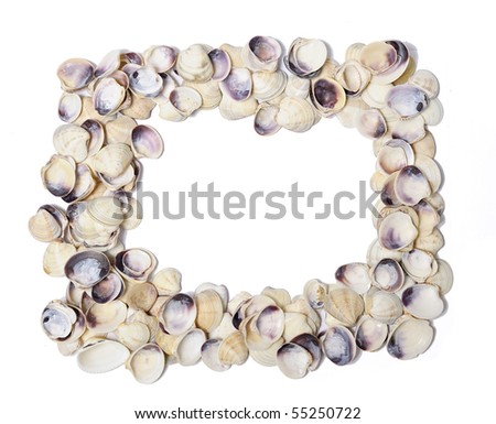 Frame of shells isolated over white