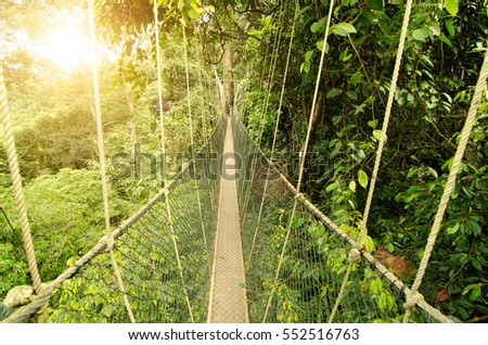 canopy bridge in taman negara, malaysia

 Royalty-Free Stock Photo #552516763