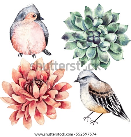 Collection  flowers, bird, succulent,  watercolor style. Isolated on white background. Perfect for any designs, t-shirts, phone cases, bags, and other. Floral clip-art.