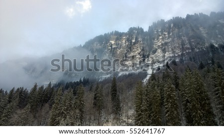 Snow laden Frozen trees in a high alpine forest in the french alps.