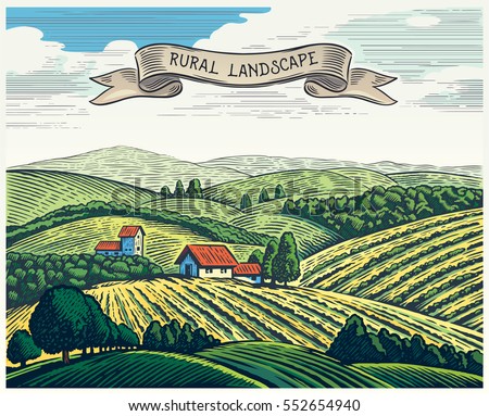 Rural landscape in graphical style, imitating the engraving. Hand drawn and converted to vector Illustration. Royalty-Free Stock Photo #552654940