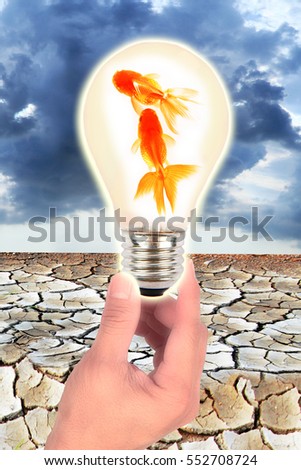 Gold fish. Isolation in the bulb on sky background.
