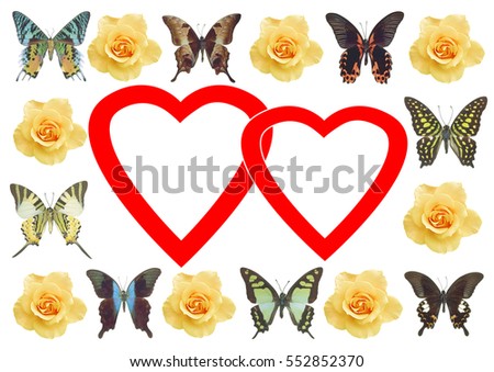 frame butterflies, flower and heart