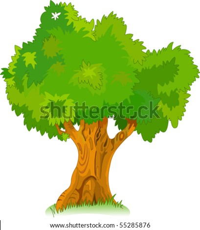 Great old oak tree for your design