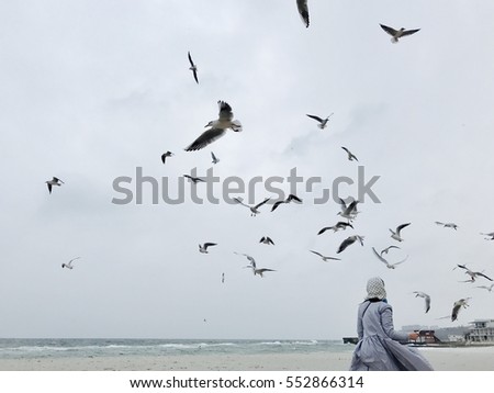 Girl wearing warm casual blue coat walking on the beach alone,Sea background,cold toned colors.lifestyle image,dreaming girl.walking alone,enjoy her time,sea-gull around,storm Royalty-Free Stock Photo #552866314