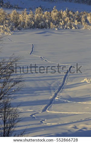 Tracks in the snow in Svandalen nature reserve on Senja Island, Troms county, Norway