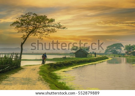 village in Bangladesh during sunset Royalty-Free Stock Photo #552879889