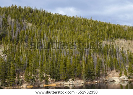 Collage of Trees at Rocky Mountains