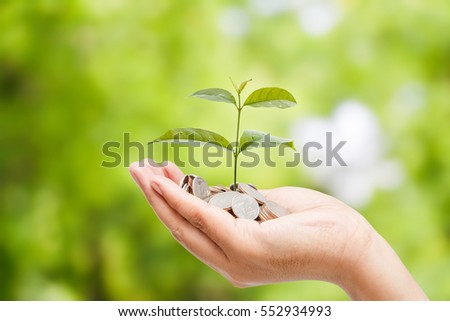 money plant growing from coins in hand on natural background.