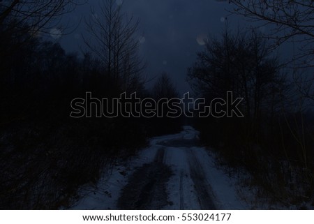 long road in the forest at night in winter