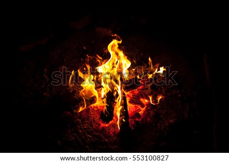Flames and embers of a roaring bonfire