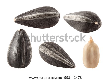 Collection of black sunflower seeds isolated on white, clipping path
