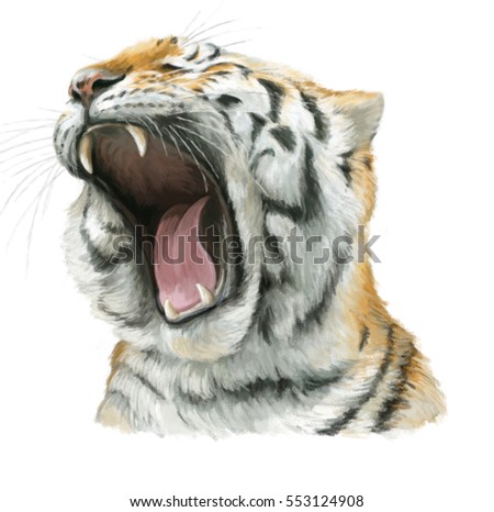 Cartoon tiger - head - illustration for children