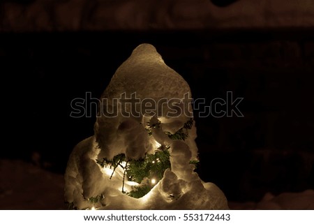 An illuminated Christmas tree under a snow cover.