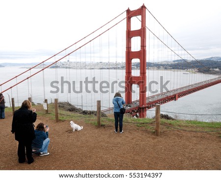 People take pictures dog on the background Golden Gate Bridge in San Francisco, California, USA