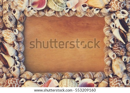 Wooden frame with seashells, background