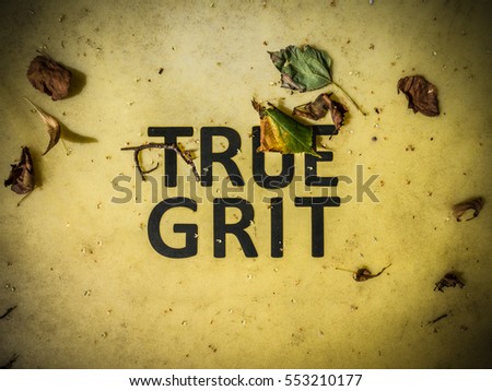 Conceptual Image Of True Grit Written On A Grit Bin