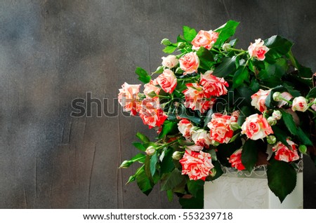 Tiger Roses, striped. Flowers in White Vase on Dark Background, card for Valentines day, copy space, horizontal
