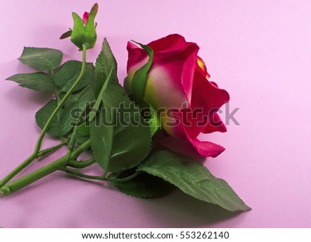 Valentine background with red rose flower,   red hearts on background pink. Happy lovers day present mockup.