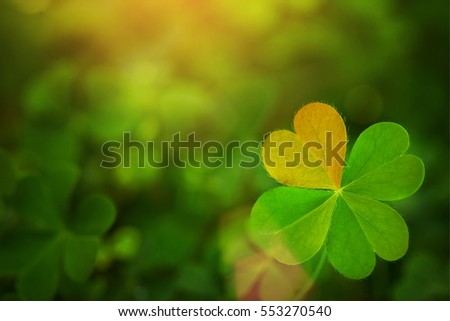 clover leaf in lens flare Pray for Valentine background and St. Patrick's Day background