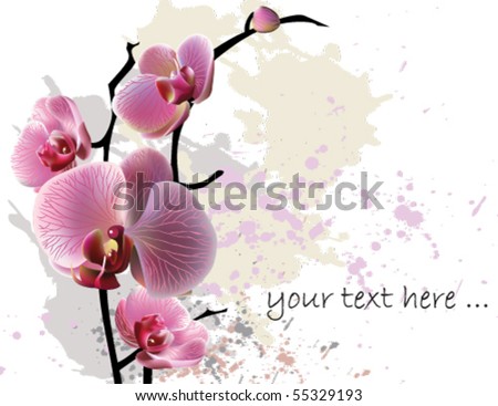 Vector orchid flower greeting card/background