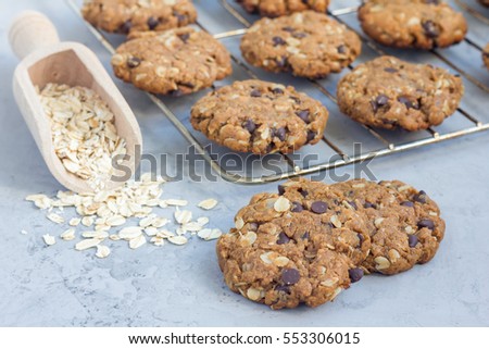 Flourless gluten free peanut butter, oatmeal and chocolate chips cookies on cooling rack, horizontal Royalty-Free Stock Photo #553306015
