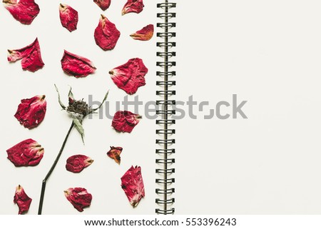 Press dried rose flower petals, on white paper, with copy space